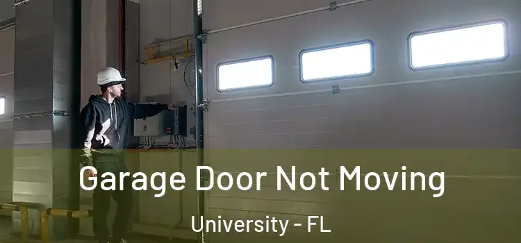  Garage Door Not Moving University - FL