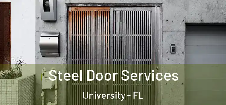 Steel Door Services University - FL